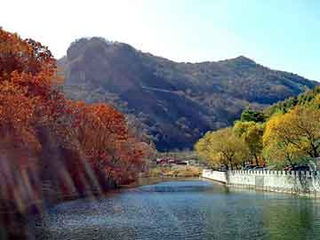 奥门天天开奖免费资料，山东现汽车屠宰场